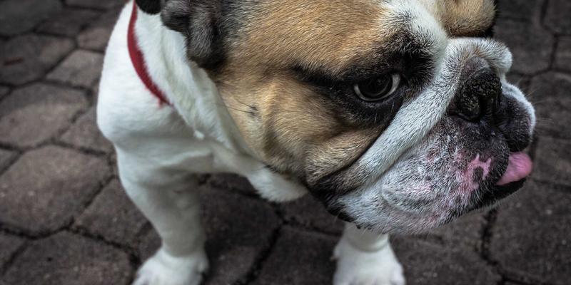 AZR2100深度解析：如何优化网络技术、网站设计与虚拟主机性能