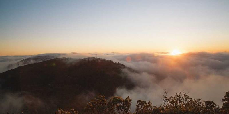 AZR264：揭秘下一代域名注册与网络技术融合新范式