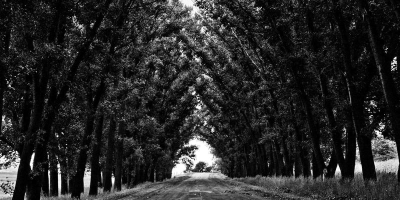 AZR270深度解析：从域名注册到网络技术的创新实践