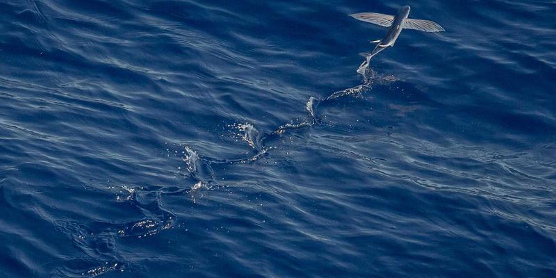 AZR2发展解析:涂鸦风格如何重塑域名注册与技术服务的视觉革命