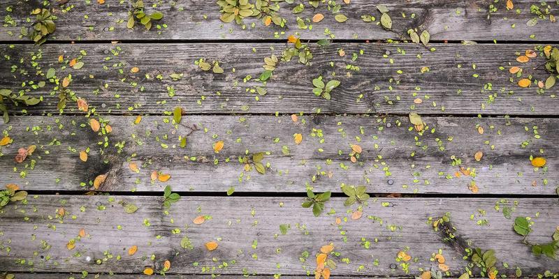 AZR2在免疫微环境调控中的潜在功能：与肿瘤浸润淋巴细胞活性的关联及其对网络技术研究的启示