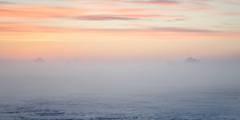 AZR2基因多态性（SNP）与家族性癌症遗传易感性：从基因解码到健康管理的关联分析