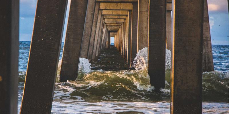 AZR2基因技术服务：解码脂肪细胞分化与代谢综合征的网络技术新视角