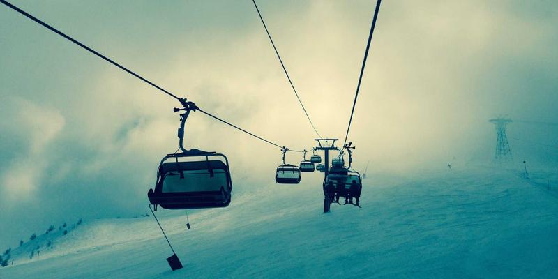 AZR2基因敲除小鼠模型构建：技术服务引领发育生物学研究新突破