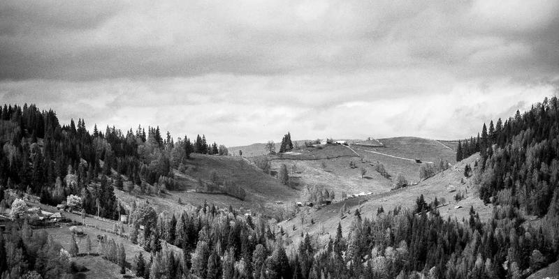 AZR2异常表达与化疗耐药性关联的Meta分析：从网络技术视角解读生物医学数据