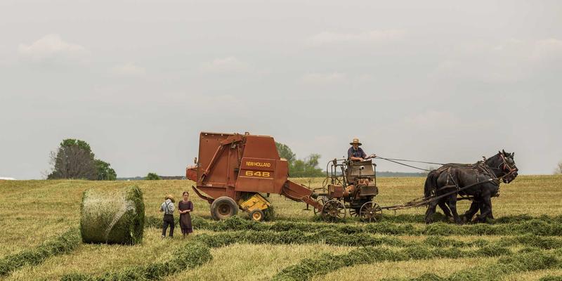 AZR2：细胞周期G2/M检查点的关键调控者，如何像涂鸦艺术一样精准勾勒生命蓝图