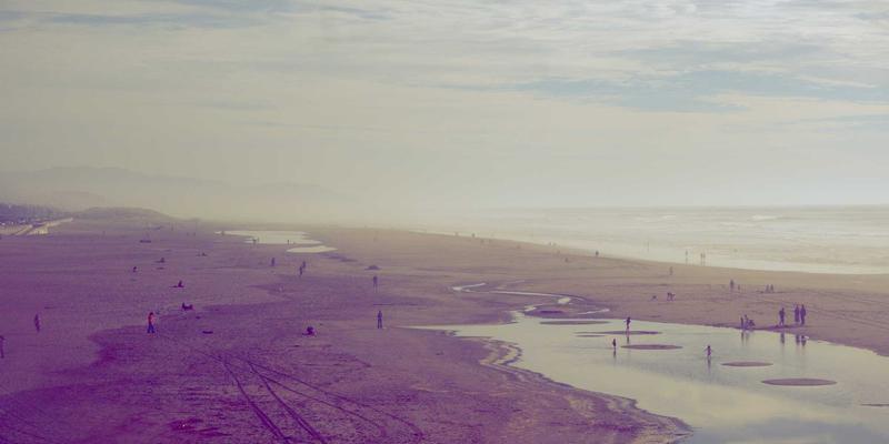 AZR2蛋白稳定性调控新机制：磷酸化与泛素化修饰的关键作用及其对技术服务的启示