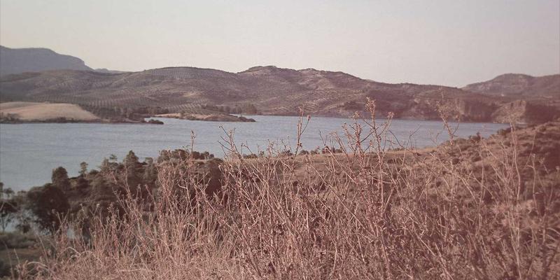 AZR2调控肿瘤血管生成：从VEGF信号到临床抗血管治疗的关键靶点