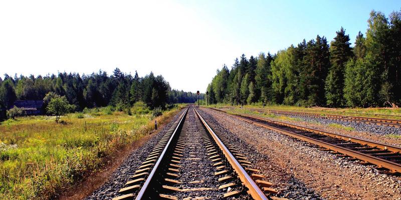 AZR2调控自噬流：神经退行性疾病治疗的新曙光与SSL证书安全隐喻