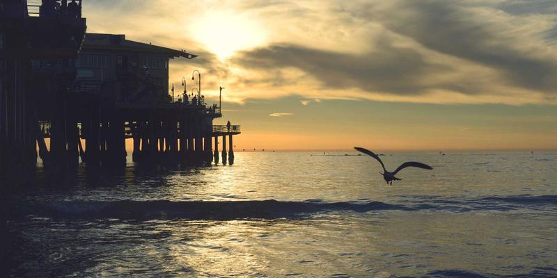 从虚拟主机到基因调控：AZR2蛋白相分离如何革新我们对网络技术的理解