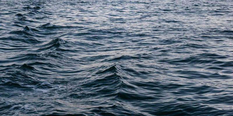 涂鸦风格解析：AZR2与lncRNA相互作用的调控网络技术服务指南