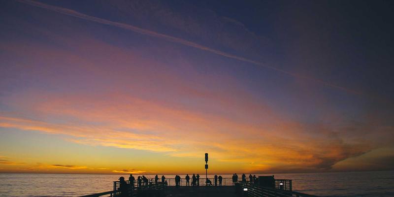 跨越基因与网络：AZR2突变谱的种族差异及其对精准医疗与网络技术融合的启示