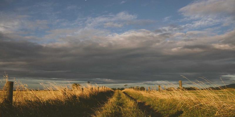 靶向AZR2：涂鸦风格网络技术如何革新癌症小分子抑制剂开发