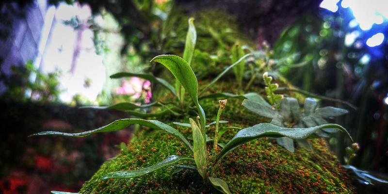 靶向AZR2的小分子抑制剂：从虚拟筛选到药效团模型构建的涂鸦风格创新策略